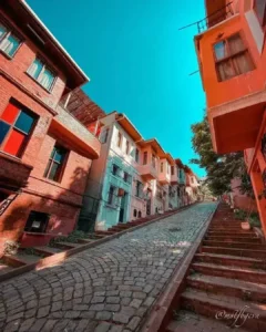 balat 00049