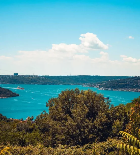 Türkiye'nin İstanbul şehrinde, yemyeşil tepeler ve bir kargo gemisiyle Boğaz'ın muhteşem panoramik manzarası.