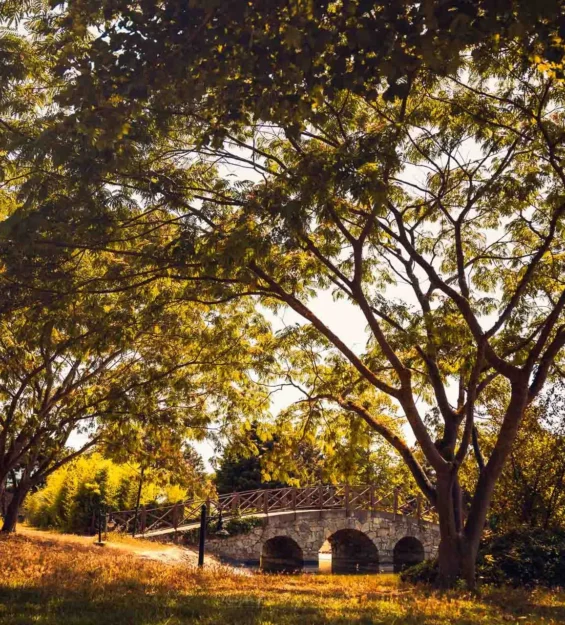 Yemyeşil ağaçların gölgesinde, parkta bulunan taş kemer köprü.