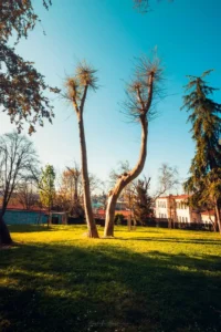 Doğa: Büyülü Dünyaya Yolculuk 17 doga 13