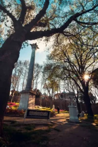 Doğa: Büyülü Dünyaya Yolculuk 25 doga 14