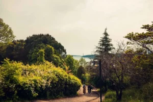 Doğa: Büyülü Dünyaya Yolculuk 16 doga 18