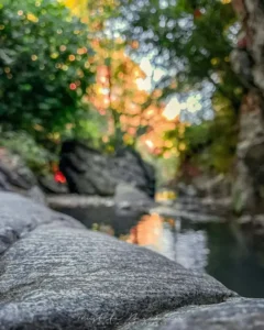 Doğa: Büyülü Dünyaya Yolculuk 51 doga 2