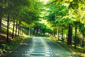 Doğa: Büyülü Dünyaya Yolculuk 45 doga 22