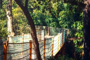 Doğa: Büyülü Dünyaya Yolculuk 61 doga 23