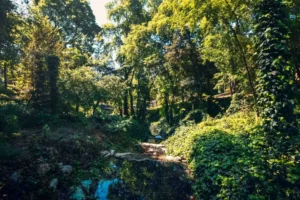 Doğa: Büyülü Dünyaya Yolculuk 36 doga 25