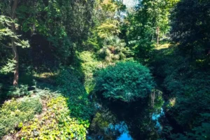 Doğa: Büyülü Dünyaya Yolculuk 59 doga 26