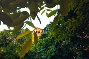 Doğa: Büyülü Dünyaya Yolculuk 9 doga 29