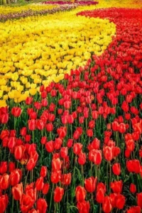 Doğa: Büyülü Dünyaya Yolculuk 23 doga 3