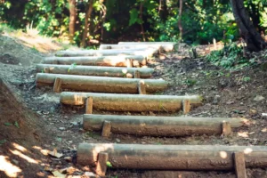 Doğa: Büyülü Dünyaya Yolculuk 19 doga 30