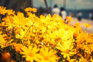 Doğa: Büyülü Dünyaya Yolculuk 7 doga 31