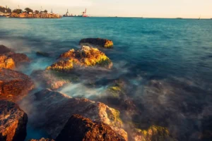 Doğa: Büyülü Dünyaya Yolculuk 47 doga 33