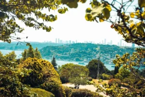 Doğa: Büyülü Dünyaya Yolculuk 5 doga 35