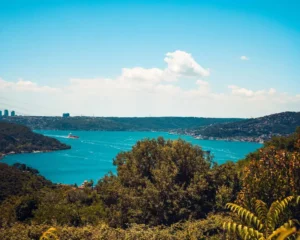 Doğa: Büyülü Dünyaya Yolculuk 11 doga 36