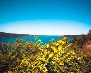 Doğa: Büyülü Dünyaya Yolculuk 15 doga 38