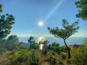 Doğa: Büyülü Dünyaya Yolculuk 12 doga 4