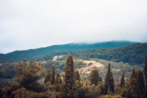 Doğa: Büyülü Dünyaya Yolculuk 3 doga 40