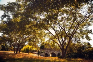 Doğa: Büyülü Dünyaya Yolculuk 22 doga 49