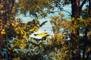 Doğa: Büyülü Dünyaya Yolculuk 28 doga 51