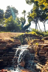 Doğa: Büyülü Dünyaya Yolculuk 55 doga 53