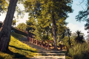 Doğa: Büyülü Dünyaya Yolculuk 50 doga 54