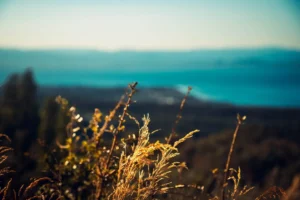 Doğa: Büyülü Dünyaya Yolculuk 13 doga 57