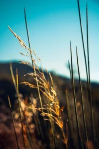 Doğa: Büyülü Dünyaya Yolculuk 60 doga 58