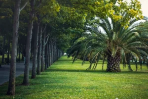 Doğa: Büyülü Dünyaya Yolculuk 8 doga 6