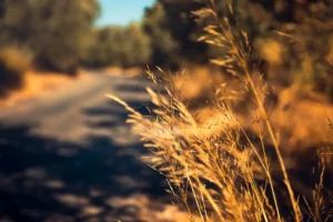 Doğa: Büyülü Dünyaya Yolculuk 53 doga 60