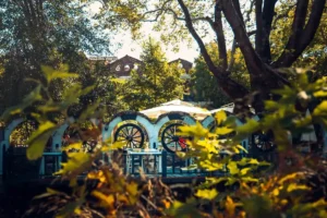 Doğa: Büyülü Dünyaya Yolculuk 63 doga 61