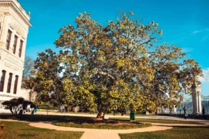 Doğa: Büyülü Dünyaya Yolculuk 20 doga 62