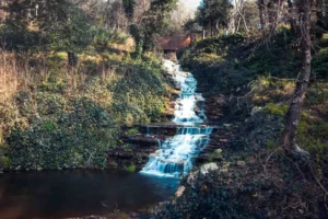 Doğa: Büyülü Dünyaya Yolculuk 41 doga 64