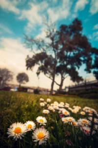 Doğa: Büyülü Dünyaya Yolculuk 49 doga 7