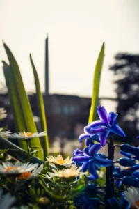 Doğa: Büyülü Dünyaya Yolculuk 39 doga 8