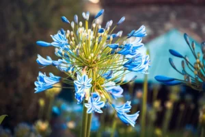 Doğa: Büyülü Dünyaya Yolculuk 64 doga 9