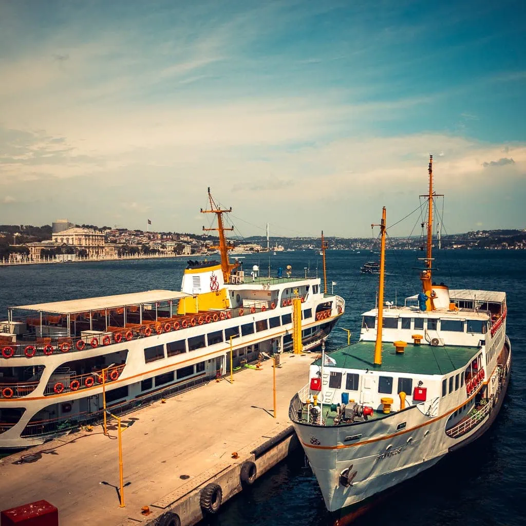 Açık havada oturan gri çizgili kedi