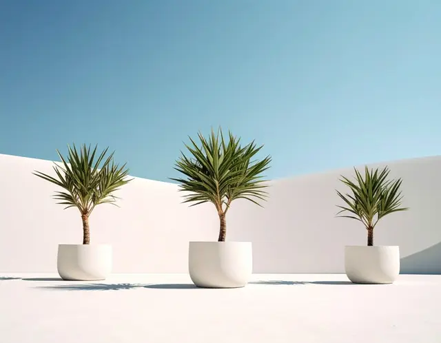 Mavi gökyüzünün altında beyaz bir duvara yaslanmış üç saksı bitkisi, minimalist fotoğrafçılık.