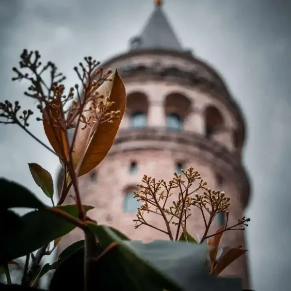 galata 00014