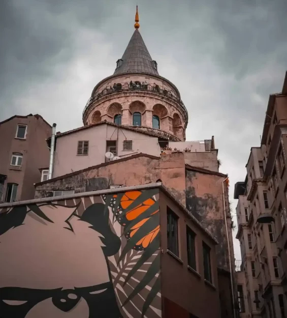 Türkiye'nin İstanbul kentindeki Galata Kulesi, dar bir sokaktan bakıldığında panda ve kelebek içeren sokak sanatıyla görülüyor.