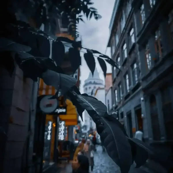 galata 00024