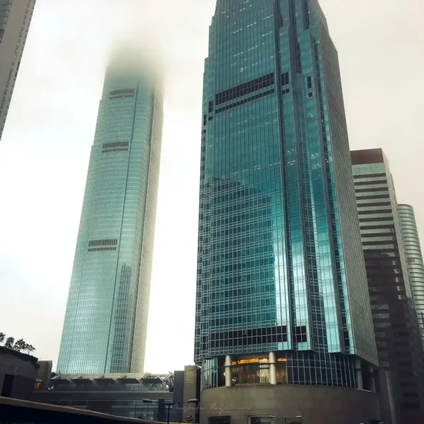 Hong Kong: Asya'nın Işıltılı Metropolü 20 hong kong 00009
