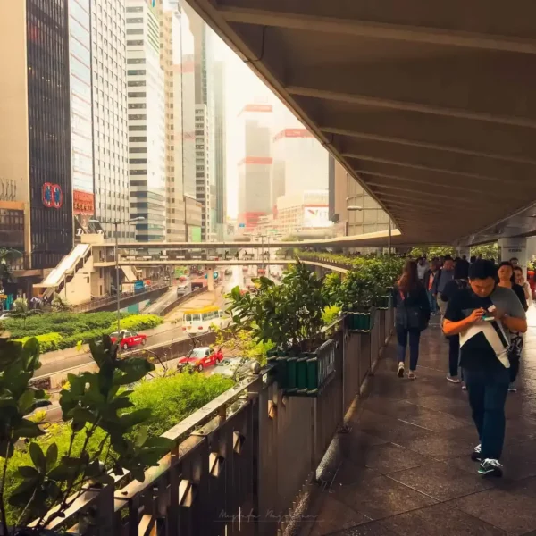 Hong Kong: Asya'nın Işıltılı Metropolü 34 hong kong 00010
