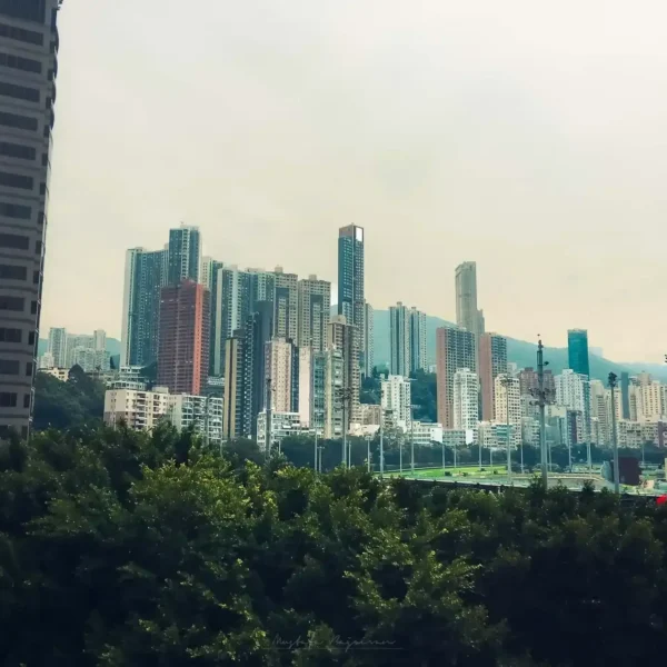 Hong Kong: Asya'nın Işıltılı Metropolü 40 hong kong 00032