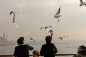 İstanbul: İki Kıtadan Manzaralar 18 istanbul 00010