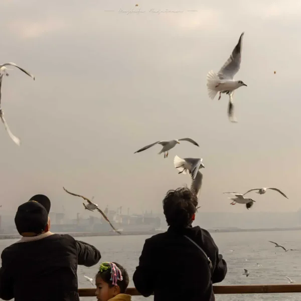 Seyahat: Dünyanın Renkleri 10 istanbul 00010