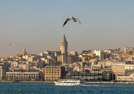 istanbul-00014 Galata Kulesi, İstanbul silüeti, martılar, Boğaz'da vapur