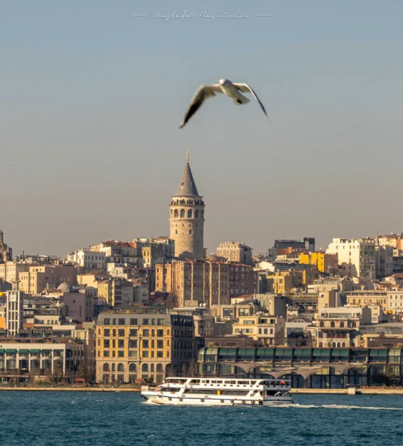 Galata Kulesi, İstanbul silüeti, martılar, Boğaz'da vapur