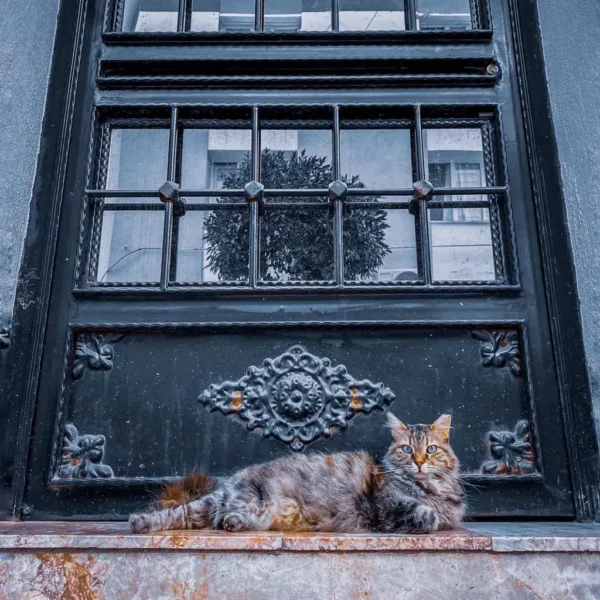 izmir 00008