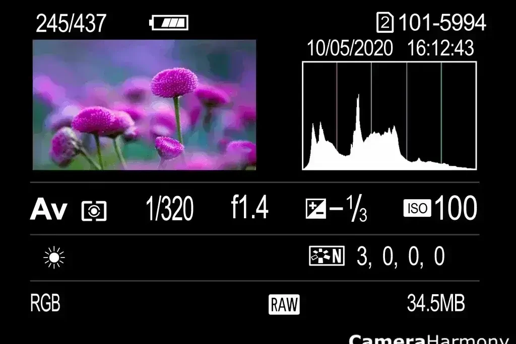 Süslü çatısı ve ejderha heykelleriyle geleneksel Çin tapınağı.