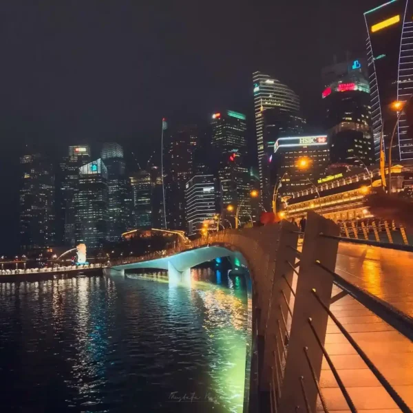 Singapur gece manzarası, köprü ve gökdelenler